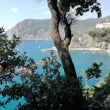 La Terrazza Sul Mare ☆☆☆☆☆ Monterosso Apartment Monterosso al Mare Ngoại thất bức ảnh