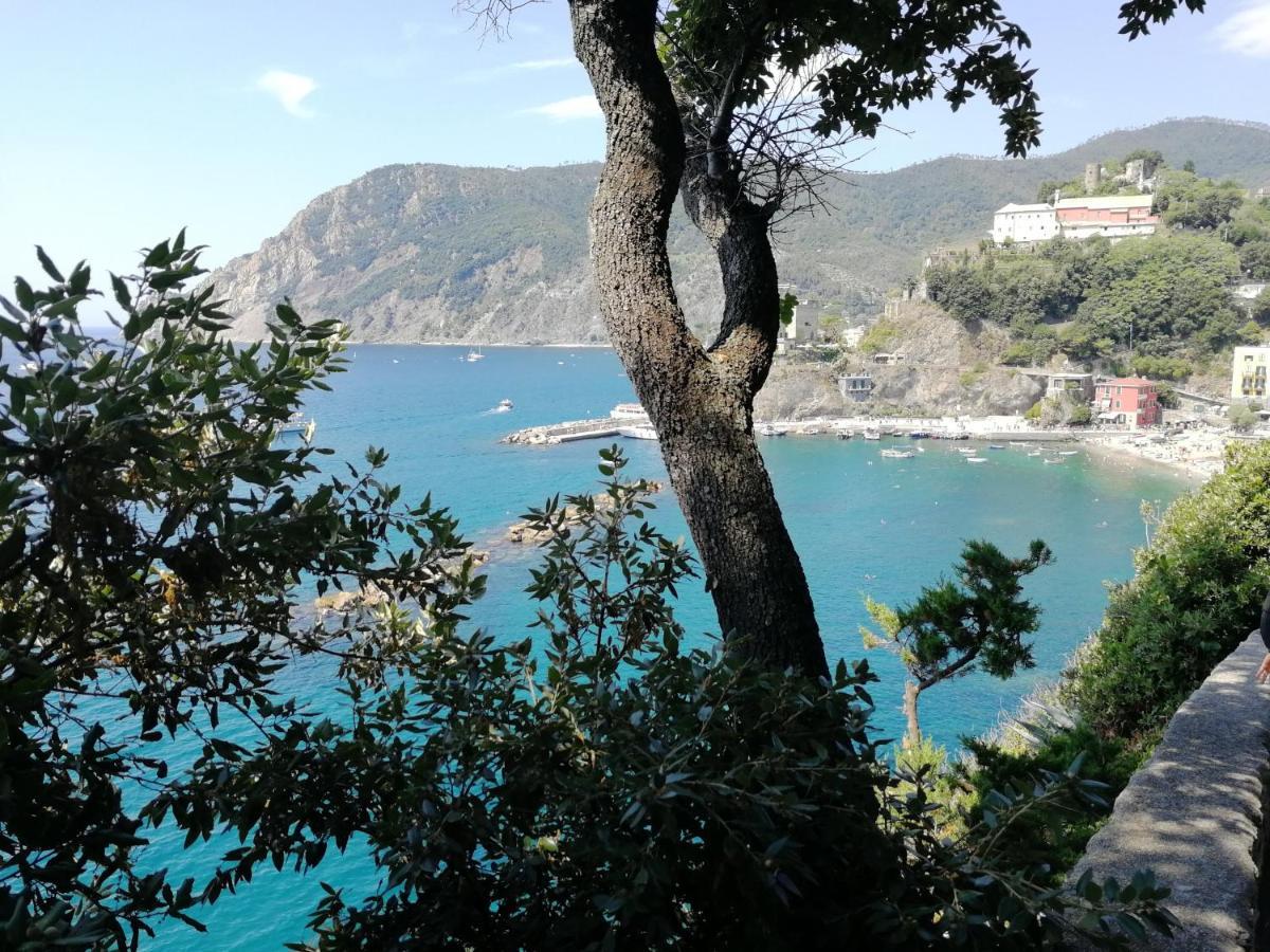 La Terrazza Sul Mare ☆☆☆☆☆ Monterosso Apartment Monterosso al Mare Ngoại thất bức ảnh